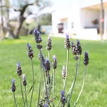 La Finestra Del Delta Landhaus L'Ampolla
