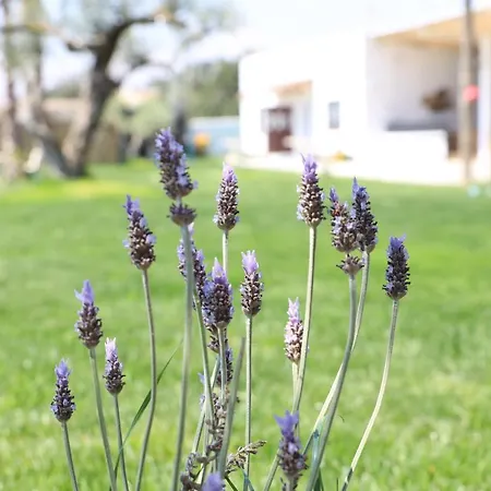 La Finestra Del Delta Country house L'Ampolla
