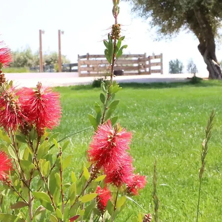 Country house La Finestra Del Delta *